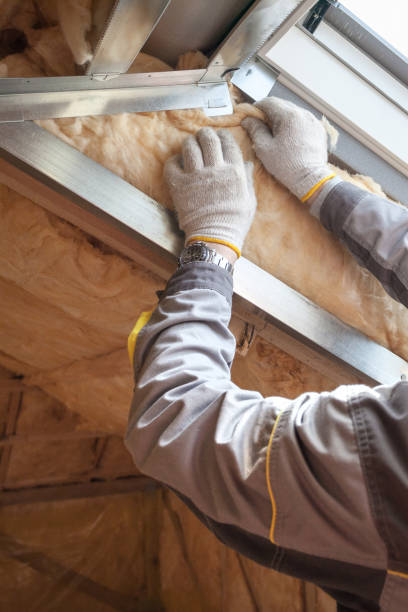 Best Insulation Inspection Services  in Overland, MO