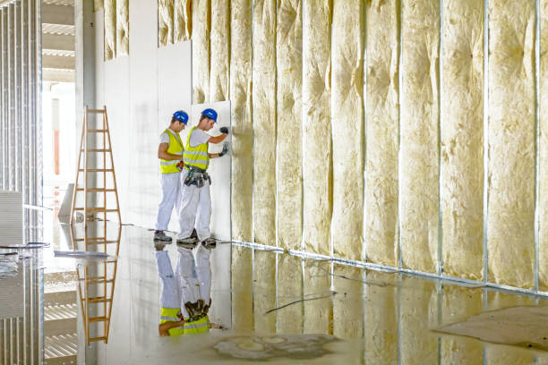 Best Insulation for New Construction  in Overland, MO
